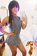 Salvador Bahia Trans Escort Stephanie  005571993836812 foto selfie 35
