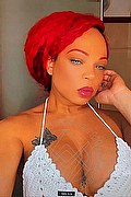 Genova Trans Escort Dior 347 28 25 420 foto selfie 10