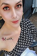 Verona Trans Escort Bianca Maravilla 380 78 48 515 foto selfie 5