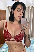 Bologna Trans Nina 327 57 79 564 foto selfie 15