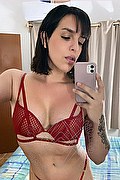Modena Trans Escort Nina 327 57 79 564 foto selfie 12
