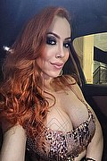 Colonnella Trans Escort Giselly Kherllakian 320 55 61 787 foto selfie 2