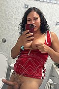 Teramo Trans Escort Stefany Costa 353 43 64 491 foto selfie 33