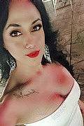 Verona Trans Bianca Maravilla 380 78 48 515 foto selfie 5