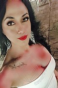 Verona Trans Escort Bianca Maravilla 380 78 48 515 foto selfie 4