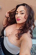 Ferrara Trans Escort Zara Marcano 327 83 60 510 foto selfie 36