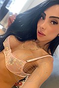 Roma Trans Escort Pamelita 331 15 07 952 foto selfie 22