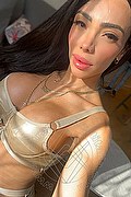 Roma Trans Escort Pamelita 331 15 07 952 foto selfie 23
