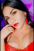 Udine Trans Escort Valeria 389 61 88 856 foto selfie 3