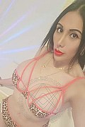 Iglesias Trans Escort Paola Fox 334 76 56 397 foto selfie 4