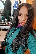 Rimini Trans Anita 351 33 50 374 foto selfie 10