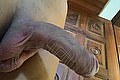 Milano Trans Sofia 347 30 29 531 foto selfie 30