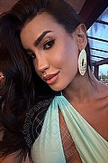 Milano Trans Escort Nicole Andrade 329 89 48 041 foto selfie 28