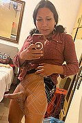 Teramo Trans Escort Stefany Costa 353 43 64 491 foto selfie 29
