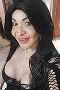 Prato Trans Tain� Oliveira 328 53 82 487 foto selfie 53