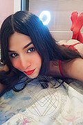 Milano Trans Escort Gretta 344 57 08 129 foto selfie 2