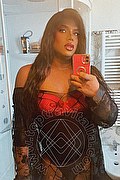 Verbania Trav Diamond 350 95 56 564 foto selfie 2