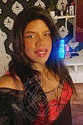 Verbania Trav Escort Diamond 350 95 56 564 foto selfie 1