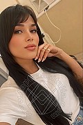 Rimini Trans Rafaela Bastos 329 55 79 942 foto selfie 56
