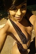 Sanremo Trans Vivy Noronha 333 18 67 209 foto selfie 19