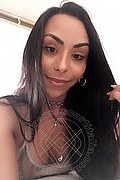 Sanremo Trans Escort Vivy Noronha 333 18 67 209 foto selfie 14