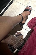 Bari Trans Escort Felicia Ts 388 11 16 342 foto selfie 5