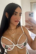 Roma Trans Escort Pamelita 331 15 07 952 foto selfie 13