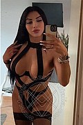 Napoli Trans Escort Serena 388 44 57 785 foto selfie 12