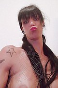Torre Del Lago Puccini Trans Pamela Sexy 389 11 65 704 foto selfie 40