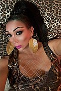 L'aquila Trans Escort Amanda 371 39 38 352 foto selfie 1
