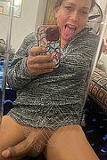 Teramo Trans Stefany Costa 353 43 64 491 foto selfie 24