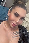 Napoli Trans Escort Dafne Pornostar 380 14 22 205 foto selfie 15
