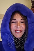 Asti Trans Escort Federica Novit� 345 46 77 234 foto selfie 3