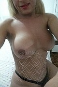 Roma Trans Ingrid 329 14 40 518 foto selfie 1