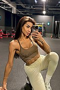 Milano Trans Nicole Andrade 329 89 48 041 foto selfie 10