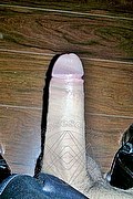 Francavilla Fontana Trans Escort Sexy Thays 391 30 00 226 foto selfie 10
