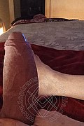 Sesto San Giovanni Trans Escort Gisell Bloss 347 30 50 049 foto selfie 2