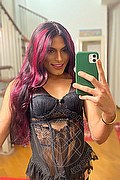 Milano Trav Escort Lunnah Reis 353 34 54 236 foto selfie 15