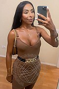 Sanremo Trans Escort Vivy Noronha 333 18 67 209 foto selfie 3