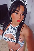 Reggio Calabria Trans Andrea Lombardi 380 26 36 214 foto selfie 1