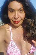Prato Trans Escort Tain� Oliveira 328 53 82 487 foto selfie 26