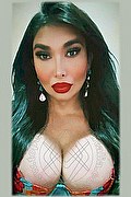 Firenze Trans Escort Kettley Lovato 376 13 62 288 foto selfie 1