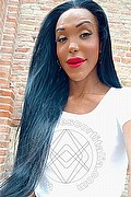 Frosinone Trans Escort Wanessa Ambrosio 351 80 69 231 foto selfie 20