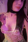 Caserta Trans Escort Paloma Diaz 327 93 39 241 foto selfie 20