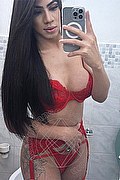 Roma Trans Escort Sophie 350 95 27 502 foto selfie 2