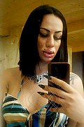 Genova Trans Miranda Pinocchio Pornostar 329 44 49 590 foto selfie 3