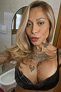 Rimini Trans Alessandra Toledo Pornostar 339 67 43 933 foto selfie 5