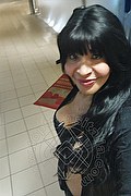 Prato Trans Tain� Oliveira 328 53 82 487 foto selfie 16