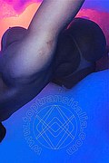 Milano Trans Mellanie leticia 392 82 04 768 foto selfie 6