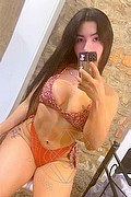 Verona Trans Escort Massiel 351 32 12 238 foto selfie 7